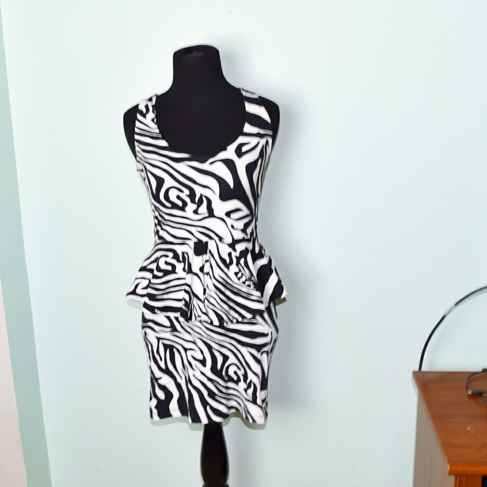 Urban Outfitters Zebra Striped Dress